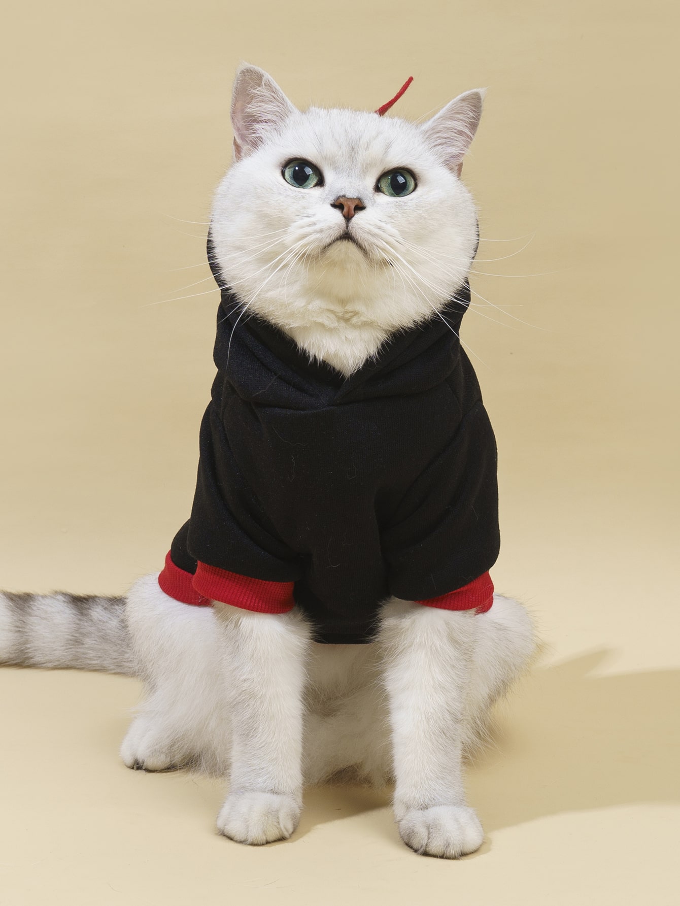 JoyPoem Dinosaur Dog Hoodie - Warm Jacket for Puppy, Kitten, Small & Medium Dogs & Cats - Black, XXS - Image 3