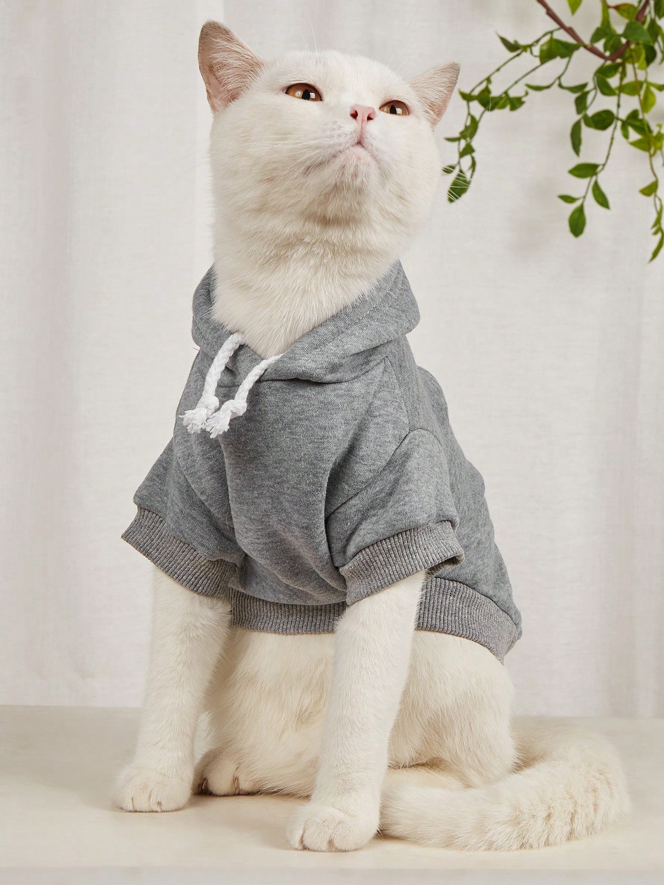 JoyPoem Basic Dog Hoodie Sweatshirt Puppy Sweater Warm Cat Costumes Pet Clothes for Chihuahua Puppy Kitten Small Medium Dogs Light Blue XX-Small - Image 4